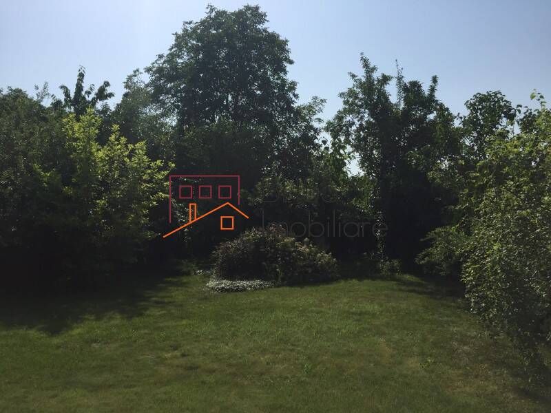 Vila Cu 5 Camere Si Gradina Pipera | Bliss Imobiliare / Photo 19 - BLISS Imobiliare