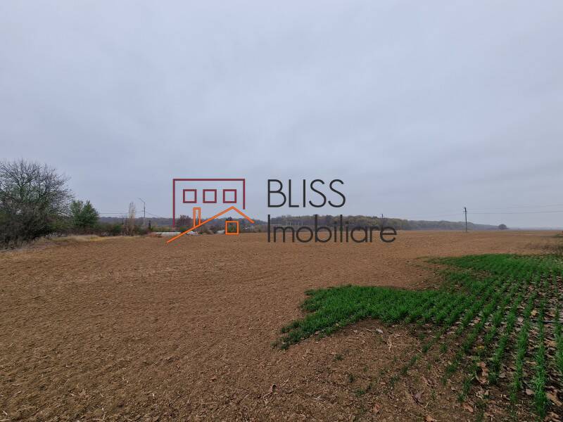 Photo 18 - BLISS Imobiliare