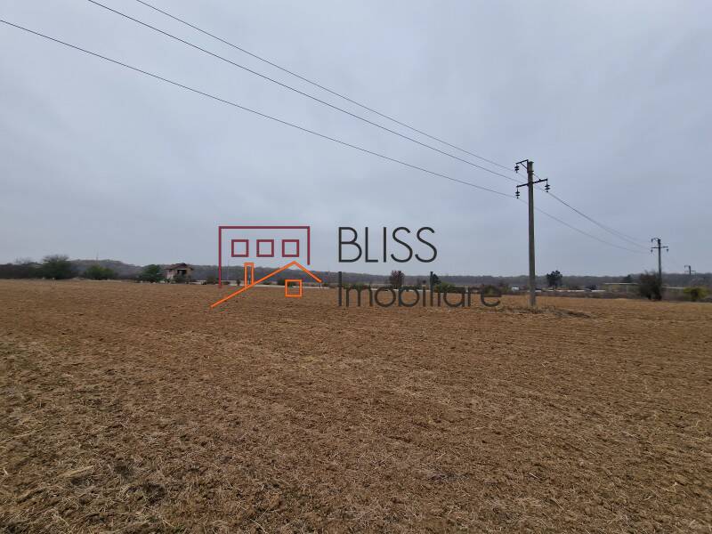 Photo 4 - BLISS Imobiliare