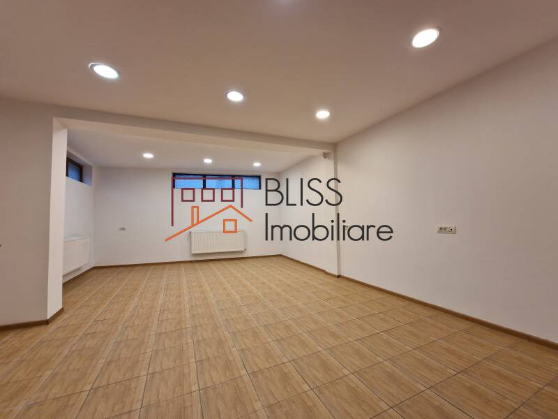 Office Space In Piata Muncii-Decebal Area, Bucharest | Bliss Imobiliare / Photo 10 - BLISS Imobiliare