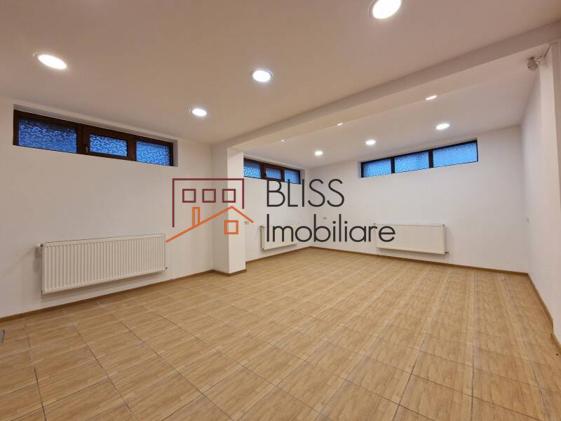 Office Space In Piata Muncii-Decebal Area, Bucharest | Bliss Imobiliare / Photo 11 - BLISS Imobiliare