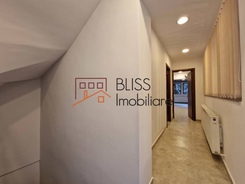 Spatiu Birouri In Piata Muncii-Decebal | Bliss Imobiliare / Photo 15 - BLISS Imobiliare