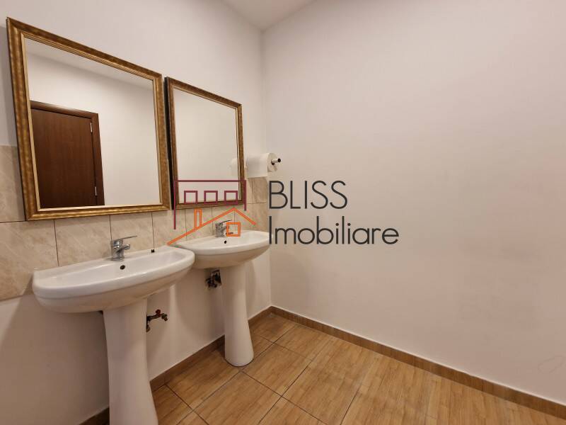 Spatiu Birouri In Piata Muncii-Decebal | Bliss Imobiliare / Photo 38 - BLISS Imobiliare