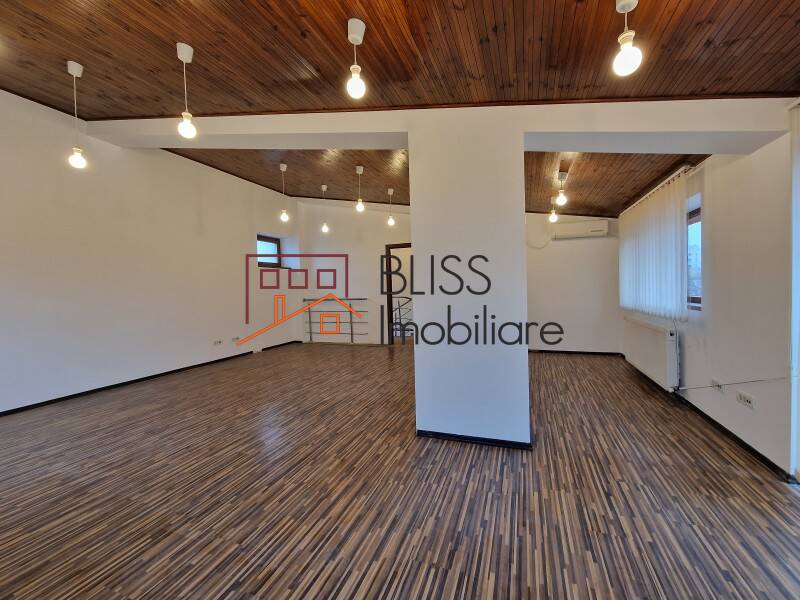 Office Space In Piata Muncii-Decebal Area, Bucharest | Bliss Imobiliare / Photo 48 - BLISS Imobiliare