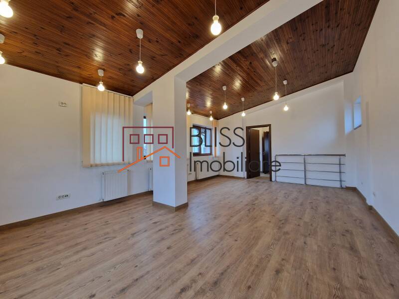 Office Space In Piata Muncii-Decebal Area, Bucharest | Bliss Imobiliare / Photo 50 - BLISS Imobiliare