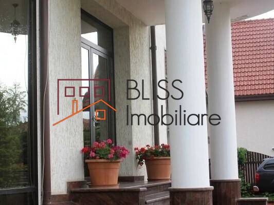 Vila 14 Camere Cu Facilitati Premium Si Piscina | Bliss Imobiliare / Photo 5 - BLISS Imobiliare