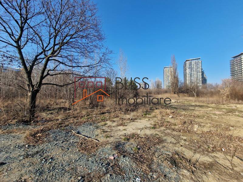 Photo 5 - BLISS Imobiliare