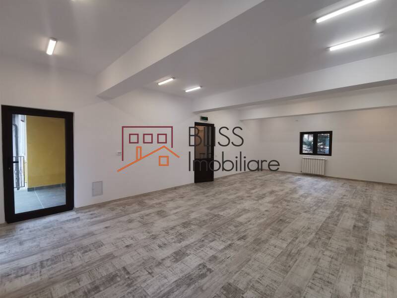 Spatiu De Birouri Modern| Iancu Nicolae | Bliss Imobiliare / Photo 18 - BLISS Imobiliare
