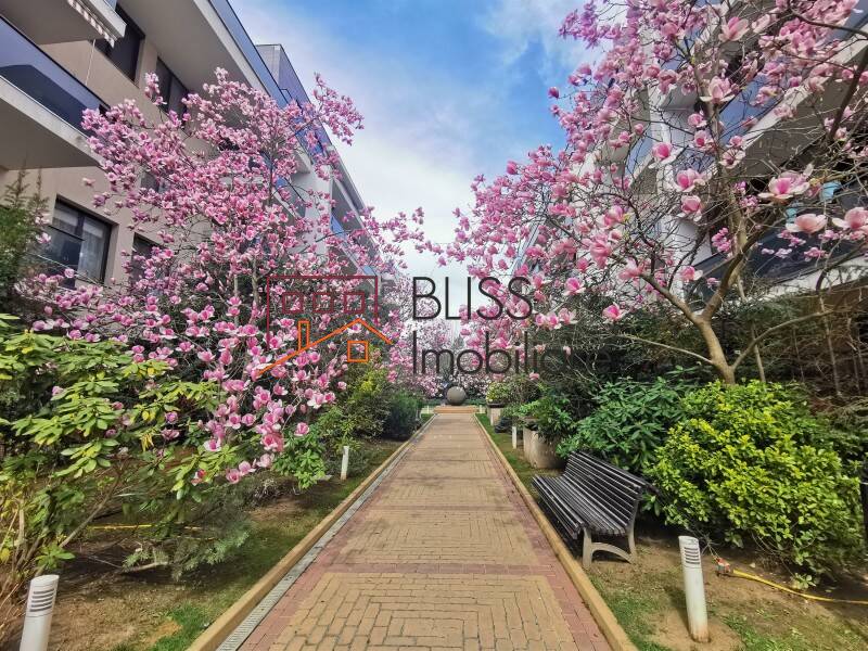 3 Bedroom Apartment in Privighetorilor for Rent, Bucharest | Bliss Imobiliare / Photo 1 - BLISS Imobiliare