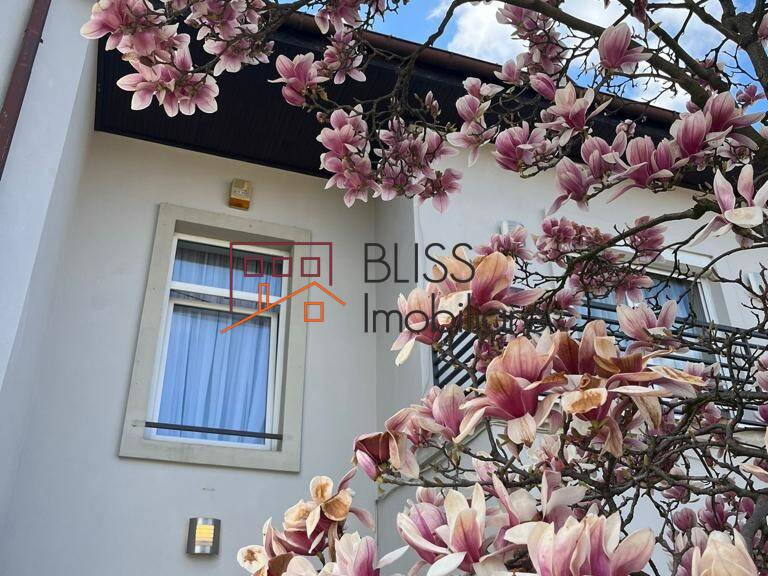 4-Bedroom Villa With Private Garden In Iancu Nicolae|BLISS Real Estate, Bucharest / Ilfov | Bliss Imobiliare / Photo 5 - BLISS Imobiliare
