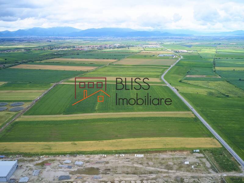 Photo 9 - BLISS Imobiliare