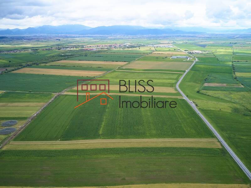 Photo 10 - BLISS Imobiliare