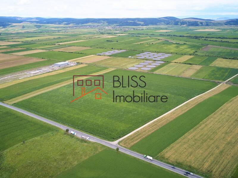 Photo 14 - BLISS Imobiliare