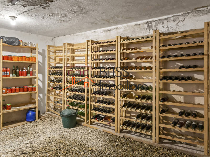 Premium 5 Bedroom Villa Located In Corbeanca, Bucharest / Ilfov | Bliss Imobiliare / Photo 37 - BLISS Imobiliare