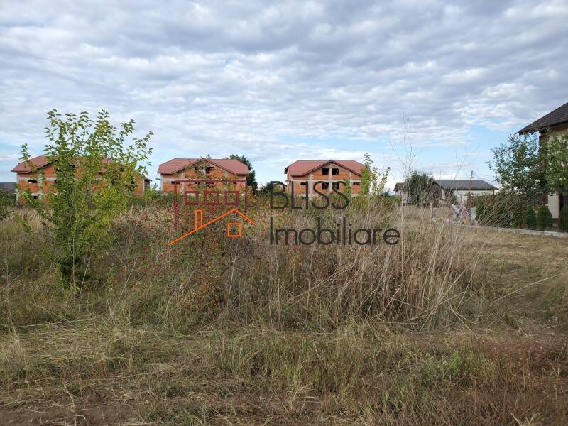 Photo 31 - BLISS Imobiliare