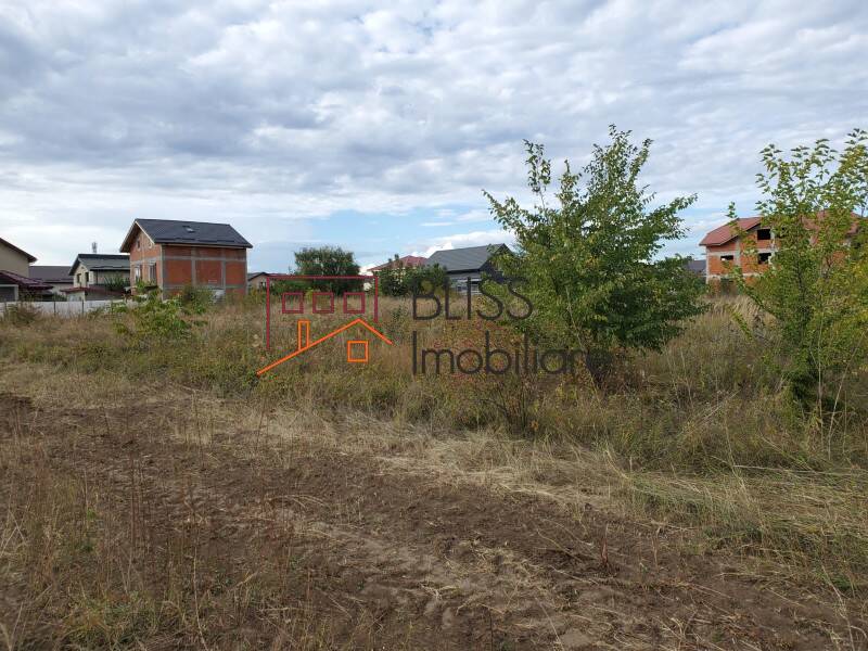 Photo 9 - BLISS Imobiliare