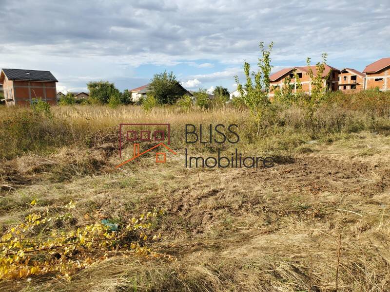 Photo 8 - BLISS Imobiliare