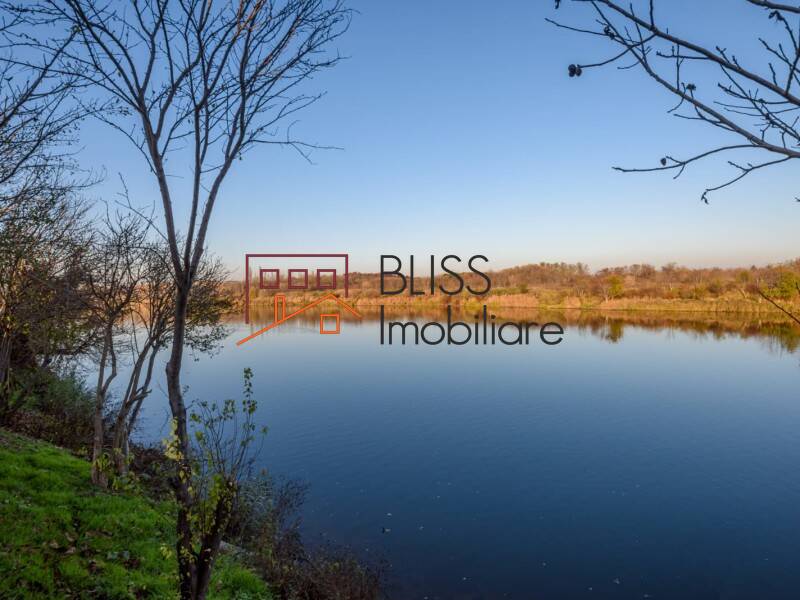 2-Bedroom Villa With Lake View In Buftea, Bucharest / Ilfov | Bliss Imobiliare / Photo 21 - BLISS Imobiliare