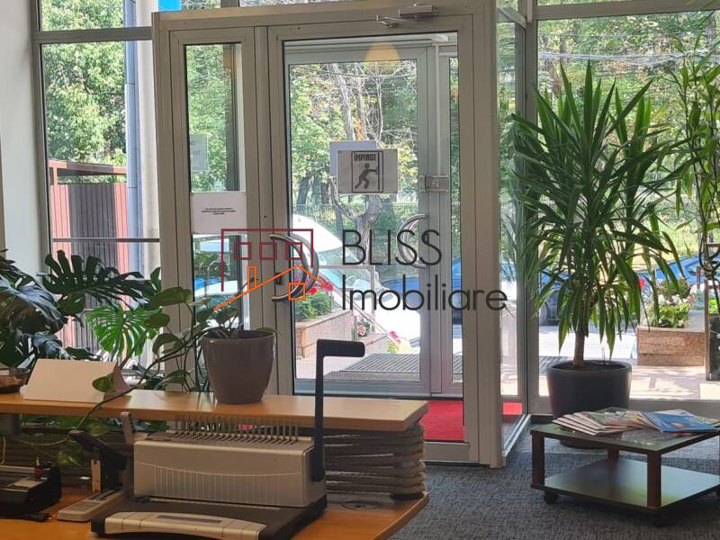 spațiu de birouri de Inchiriat Domenii | 1 Mai | Grivitei - ID:120073 | Bliss Imobiliare / Photo 4 - BLISS Imobiliare