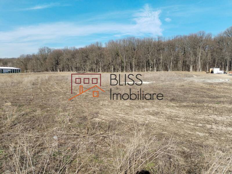 Photo 5 - BLISS Imobiliare