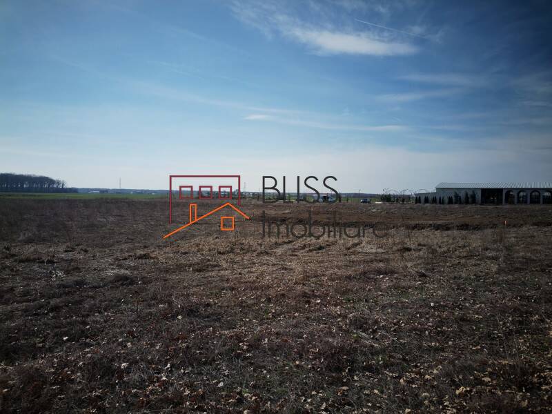 Photo 10 - BLISS Imobiliare