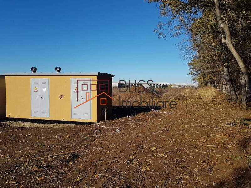 Photo 2 - BLISS Imobiliare