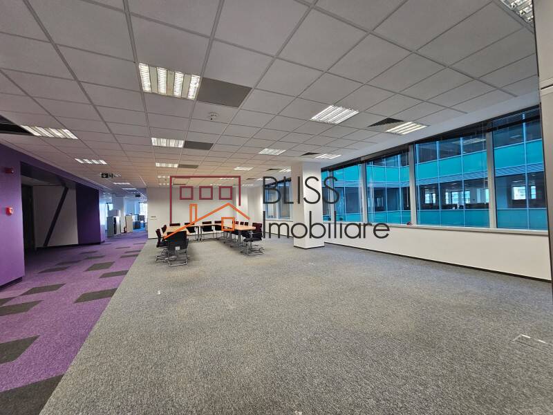 Spatiu De Birouri Floreasca Park | Bliss Imobiliare / Photo 9 - BLISS Imobiliare