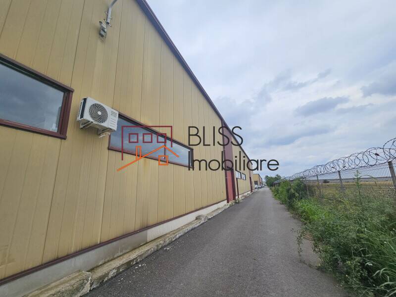 Spatiu Industrial / Logistica Premium In Otopeni | Bliss Imobiliare / Photo 8 - BLISS Imobiliare