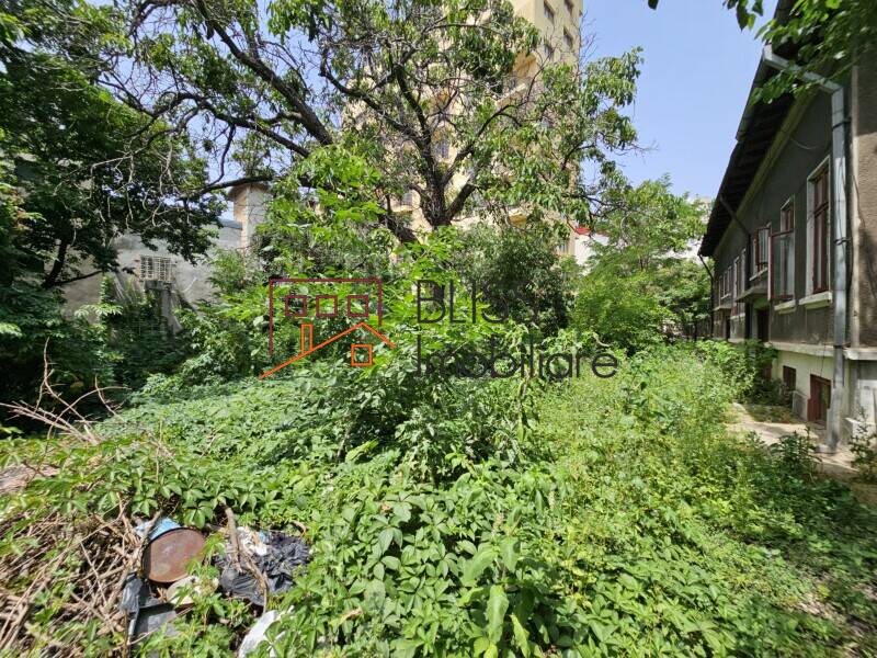 Photo 5 - BLISS Imobiliare