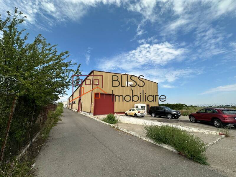 Spatiu Industrial / Logistica Premium In Otopeni | Bliss Imobiliare / Photo 3 - BLISS Imobiliare