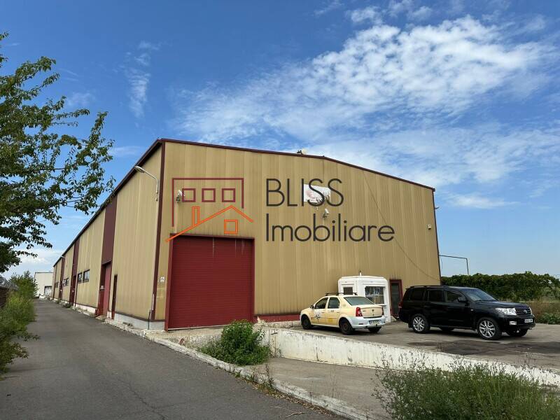Spatiu Industrial / Logistica Premium In Otopeni | Bliss Imobiliare / Photo 4 - BLISS Imobiliare