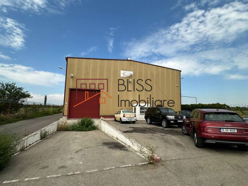 Prime Warehouse/Industrial Space In Otopeni, Bucharest / Ilfov | Bliss Imobiliare / Photo 5 - BLISS Imobiliare