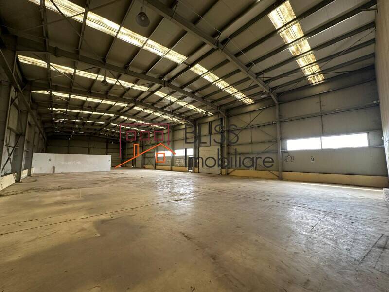 Spatiu Industrial / Logistica Premium In Otopeni | Bliss Imobiliare / Photo 13 - BLISS Imobiliare
