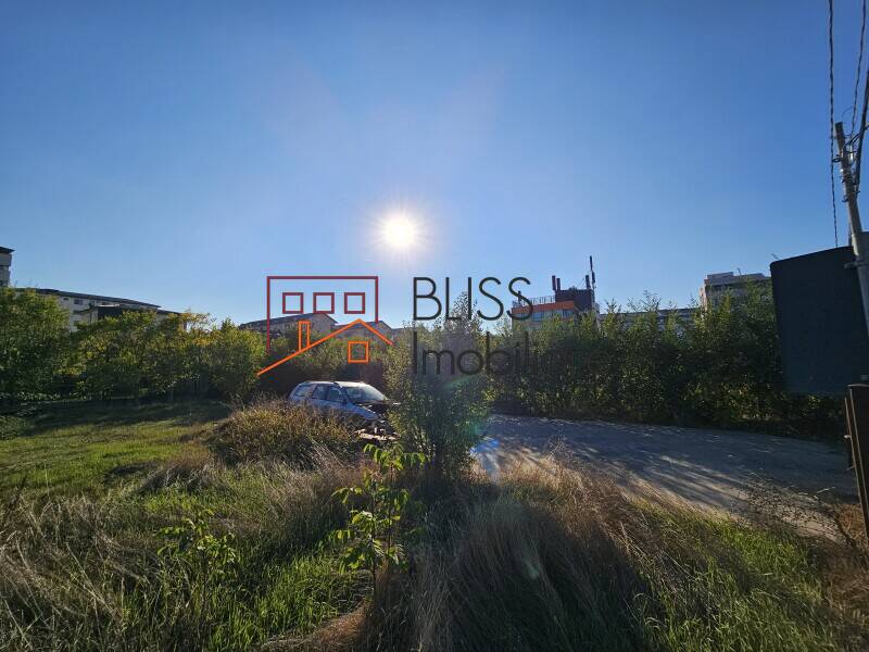 Photo 7 - BLISS Imobiliare