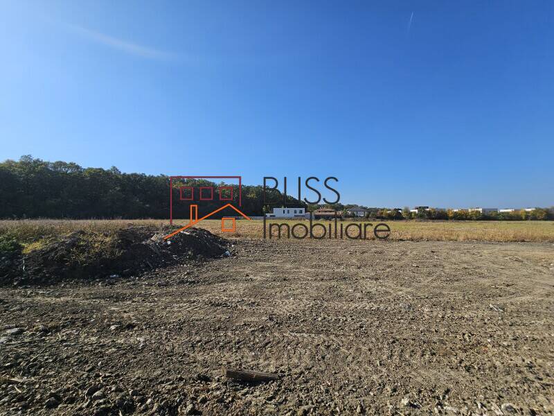 Photo 3 - BLISS Imobiliare