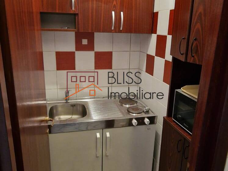 3-Bedroom Apartment Piata Victoriei, Modern Furnished, Bucharest | Bliss Imobiliare / Photo 16 - BLISS Imobiliare