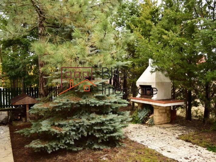 Furnished 4 Bedroom Villa, Bucharest / Ilfov | Bliss Imobiliare / Photo 8 - BLISS Imobiliare