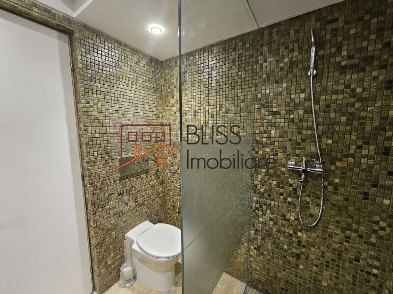 Vila Spatioasa Cu 7 Camere | Bliss Imobiliare / Photo 17 - BLISS Imobiliare