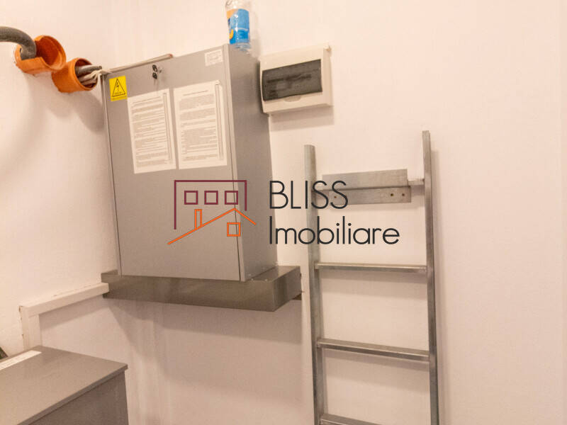 Vila De Lux 12 Camere Cu Piscina, Teren Generos In Iancu Nicolae | Bliss Imobiliare / Photo 77 - BLISS Imobiliare