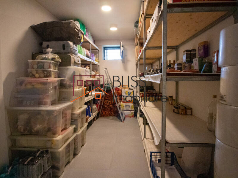 Vila De Lux 12 Camere Cu Piscina, Teren Generos In Iancu Nicolae | Bliss Imobiliare / Photo 80 - BLISS Imobiliare