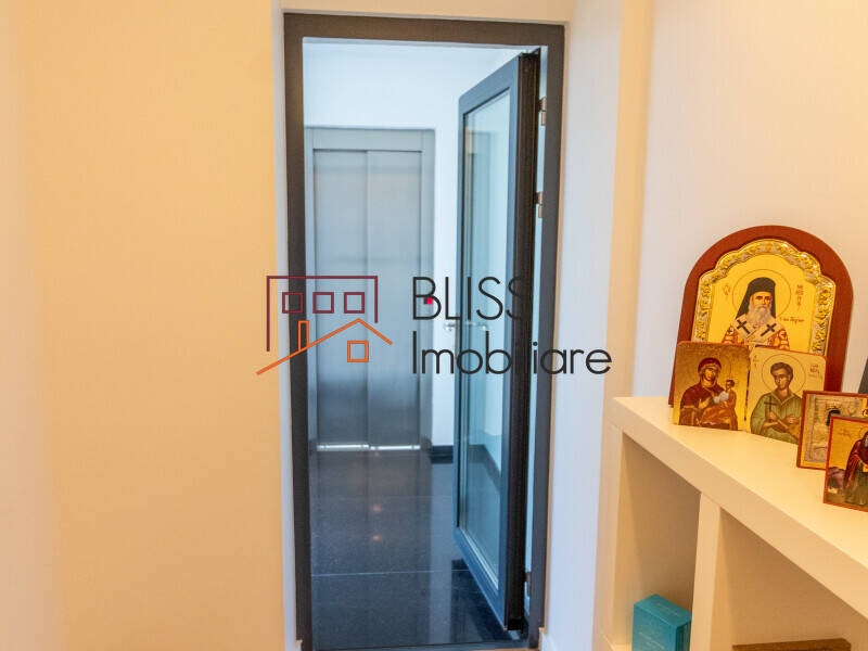Luxury Smart Villa With Generous Land Plot In Iancu Nicolae, Bucharest / Ilfov | Bliss Imobiliare / Photo 47 - BLISS Imobiliare