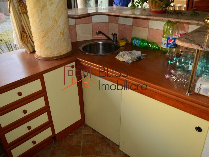 Villa for Rent KM 0 | Ultracentral, Bucharest - 5 Bedroom - ID:29430 | Bliss Imobiliare / Photo 36 - BLISS Imobiliare
