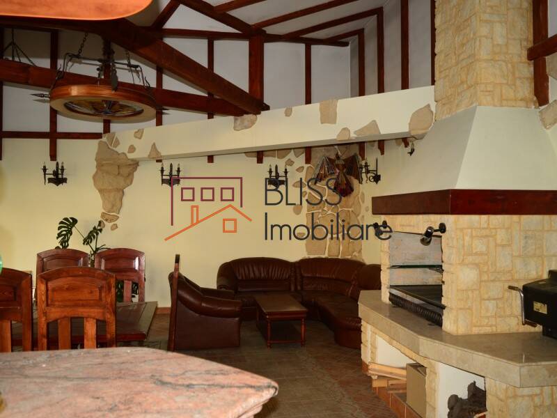 Villa for Rent KM 0 | Ultracentral, Bucharest - 5 Bedroom - ID:29430 | Bliss Imobiliare / Photo 37 - BLISS Imobiliare