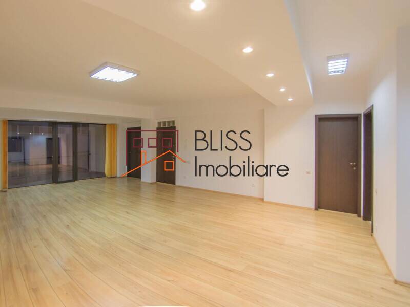 Office space for Rent Piata Victoriei, Bucharest - 12 Rooms - ID:29733 | Bliss Imobiliare / Photo 4 - BLISS Imobiliare