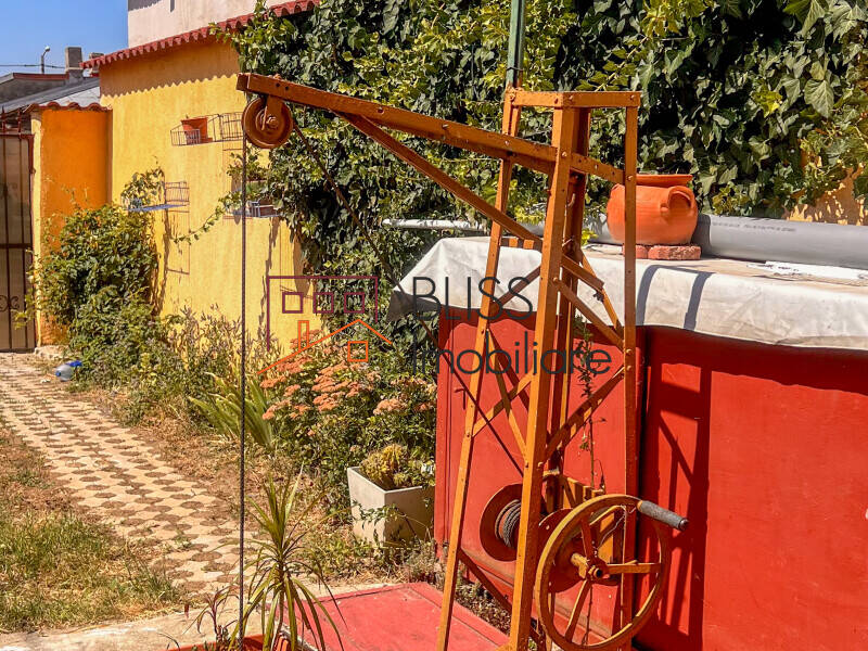 Vila Cu 7 Camere De Inchiriat In Pipera | Bliss Imobiliare / Photo 41 - BLISS Imobiliare