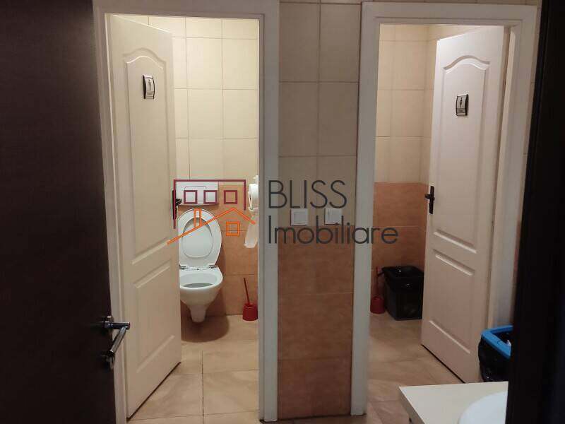 Office Space Unirii Square, Bucharest | Bliss Imobiliare / Photo 29 - BLISS Imobiliare