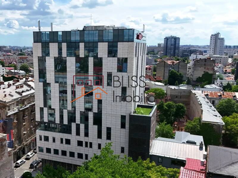 Office space for Rent Piata Victoriei, Bucharest - ID:142831 | Bliss Imobiliare / Photo 3 - BLISS Imobiliare