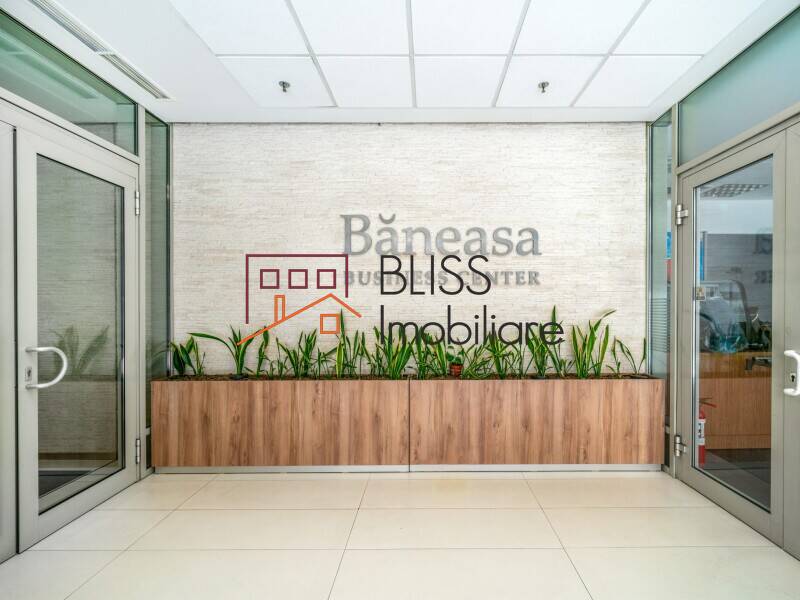 Office Space, Bucharest | Bliss Imobiliare / Photo 5 - BLISS Imobiliare