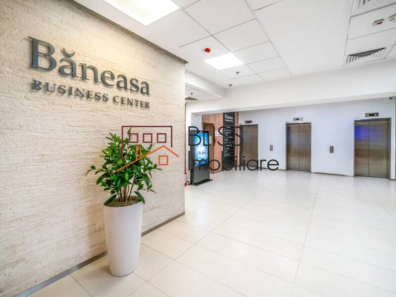 Office Space, Bucharest | Bliss Imobiliare / Photo 7 - BLISS Imobiliare