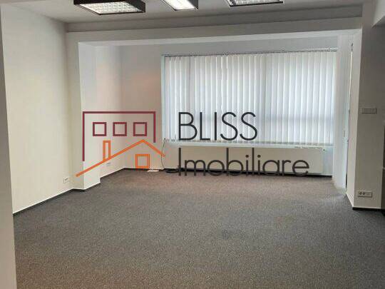 Office Space Dorobanti, Bucharest | Bliss Imobiliare / Photo 4 - BLISS Imobiliare